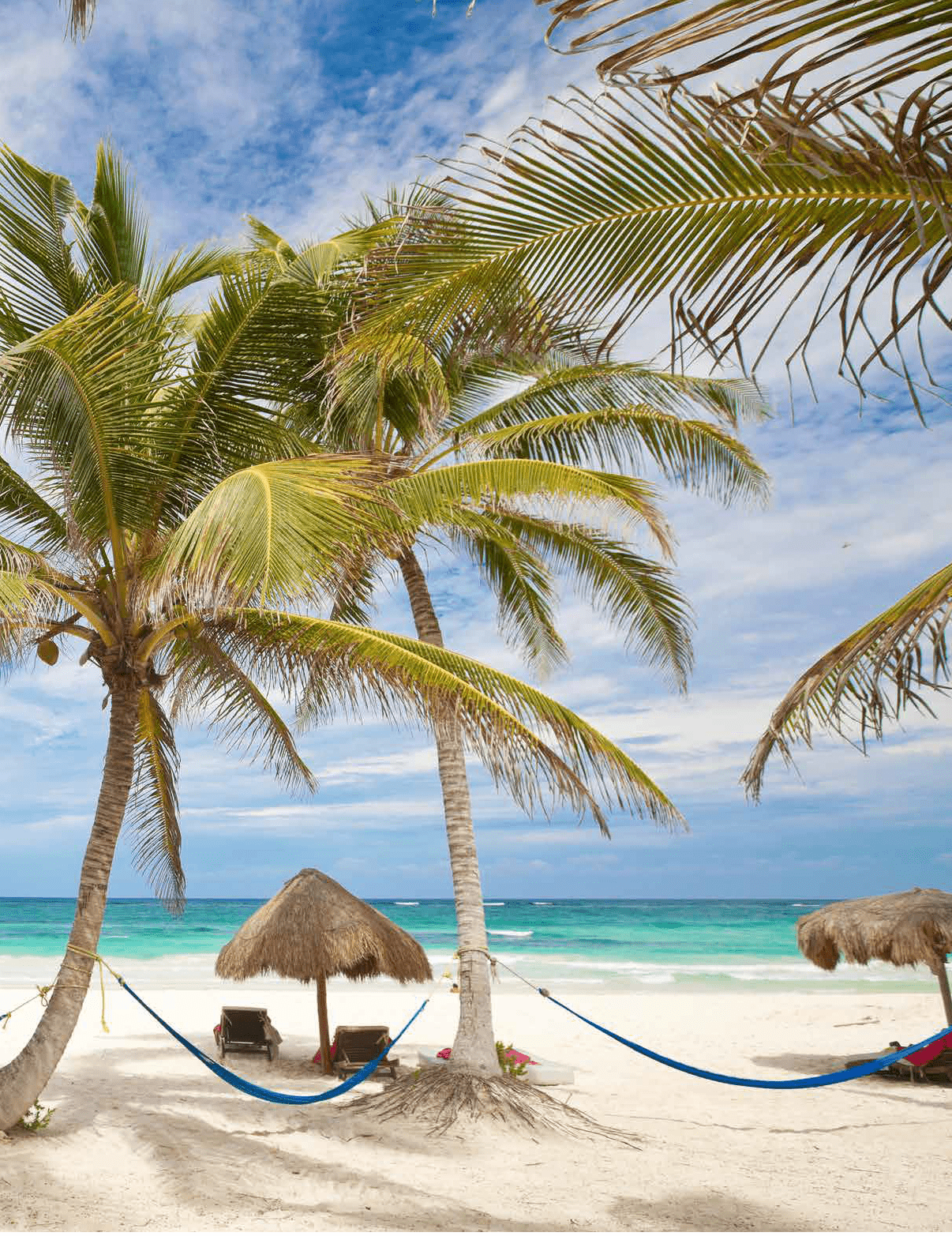 A beach scene with palm trees, a hammock, and a chair. The hammock is blue and has a pink bow. AI generated content