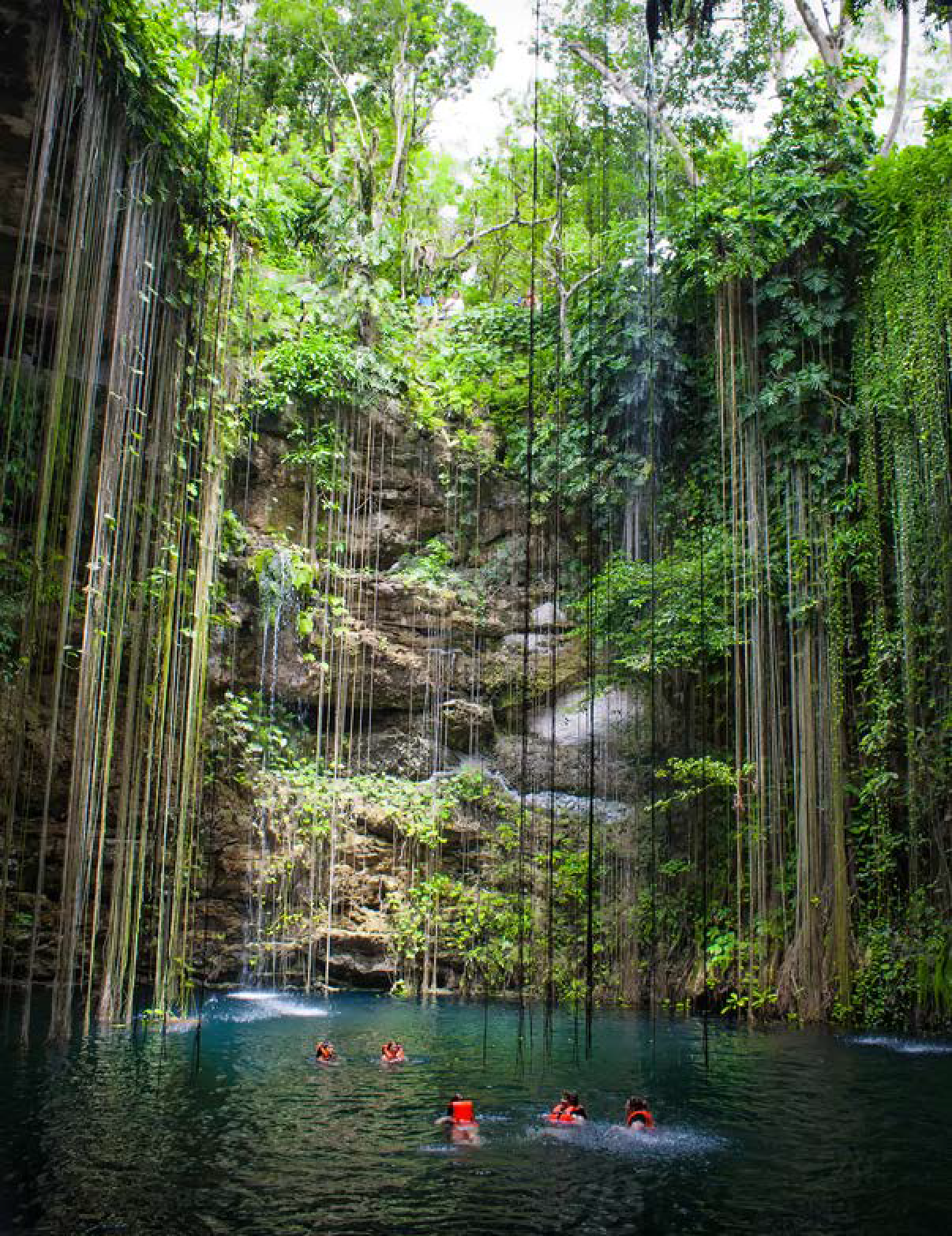 People are swimming in a pool surrounded by trees. AI generated content