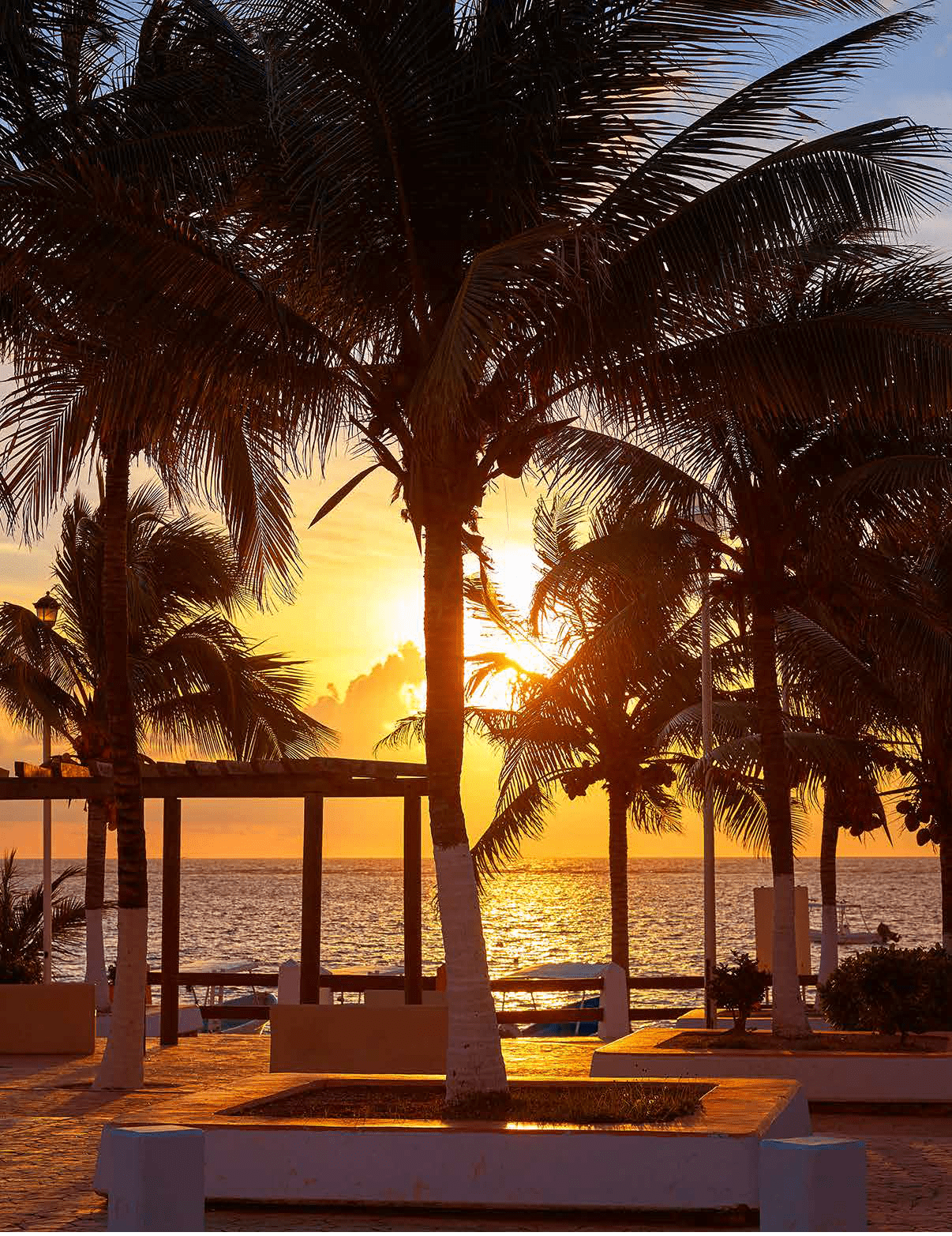 A sunset over the ocean with palm trees in the foreground. AI generated content