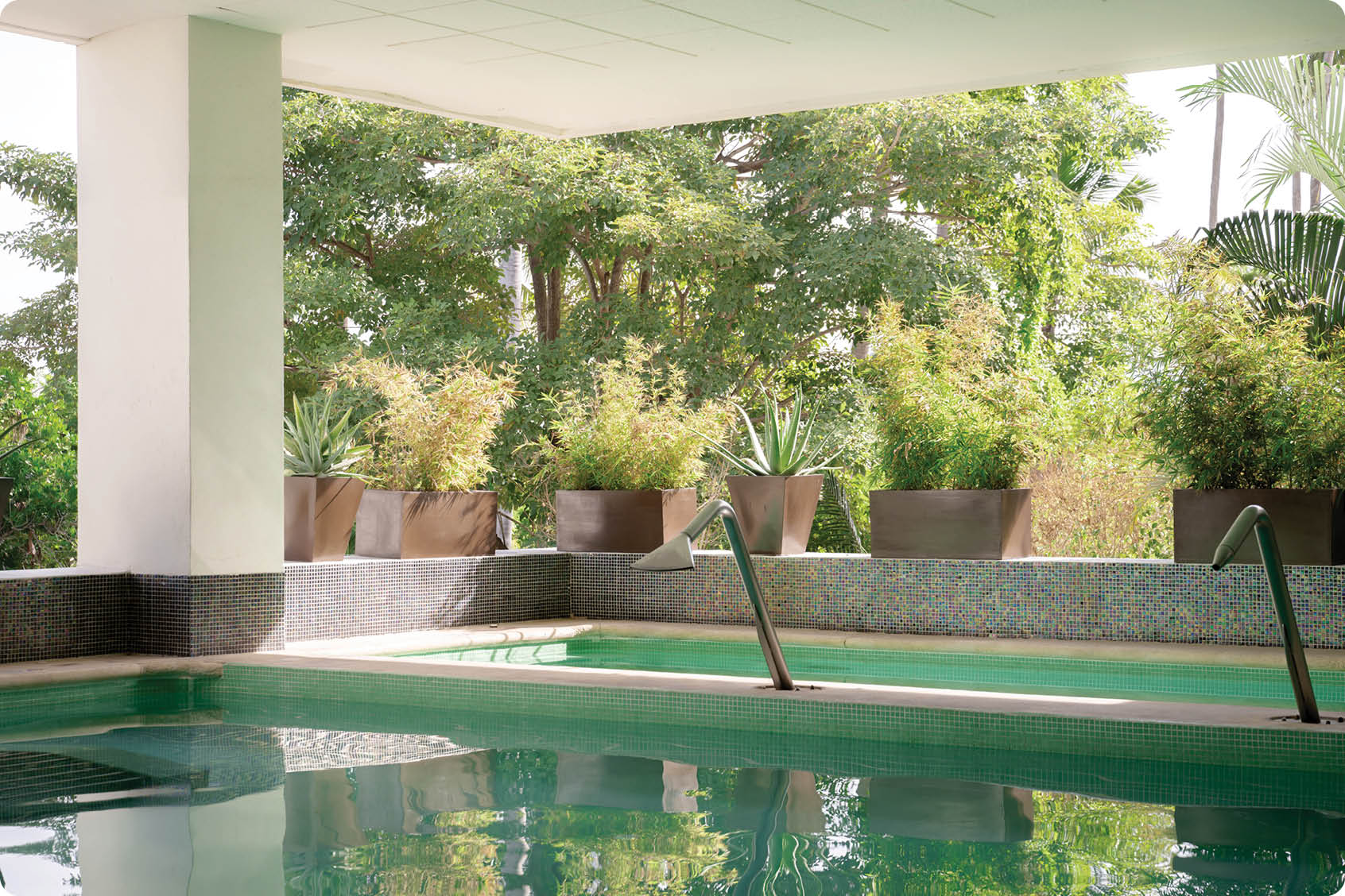 A swimming pool with a metal railing and a glass door. The pool is surrounded by trees and potted plants. AI generated content